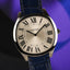 2023 Cartier Drive de Cartier Ref: WSNM0011 Full Set Top