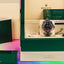 2022 Rolex GMT Master Pepsi ref: 126710BLRO Full Set Like New